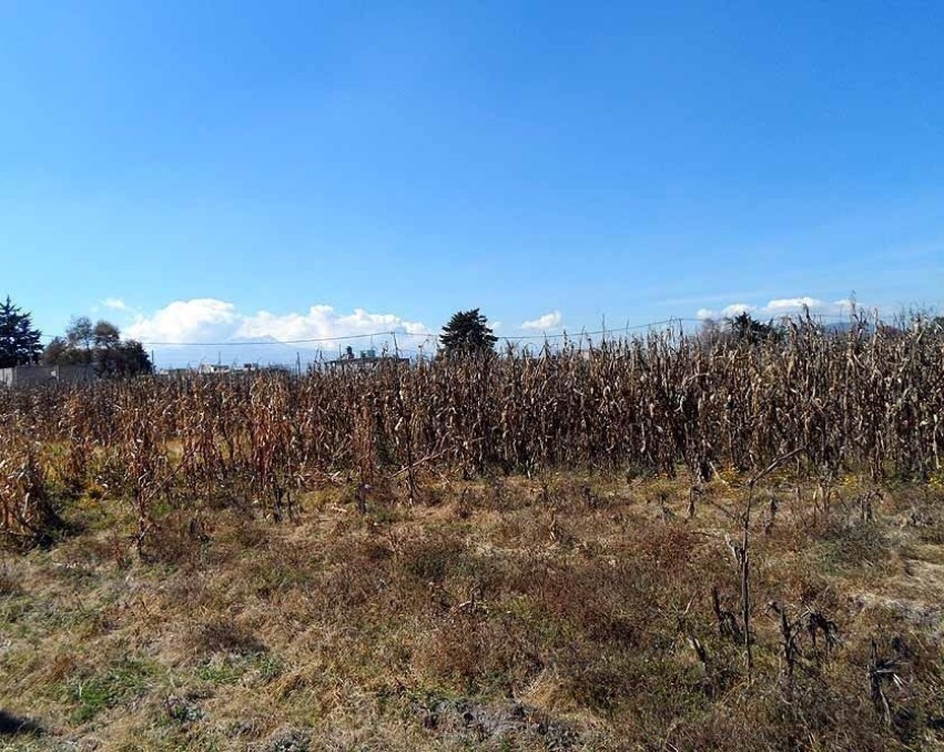 Vendo Terreno de 1 Ha Cerca Aeropuerto Toluca