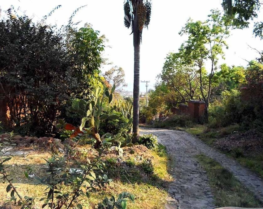 Se Vende Terreno en Malinalco